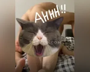 Đè con bạn thân địt như máy khâu