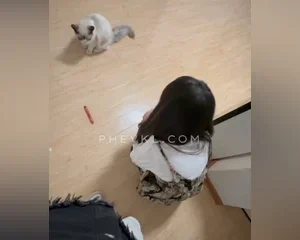 Dụ em hàng xóm sang nhà chơi xem mèo và cái kết mãn nhãn