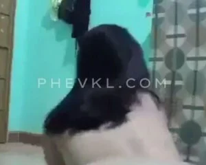 Em lắc là lắc cái mông í a í a đẹp phết kkk