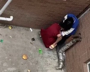 Học không lo mà học suốt ngày hú hí chịch choạc